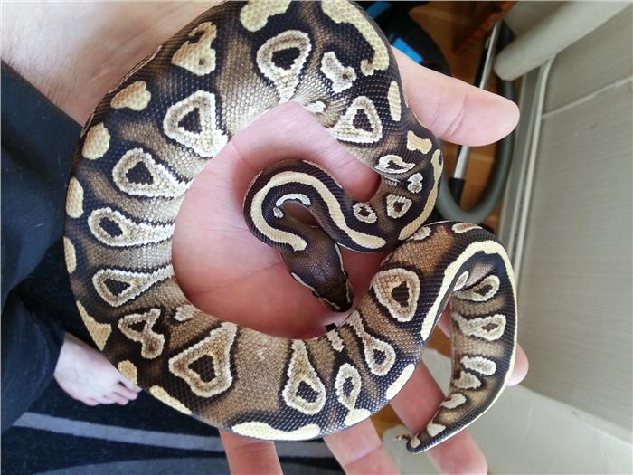 python izip python 3 python izip python 3