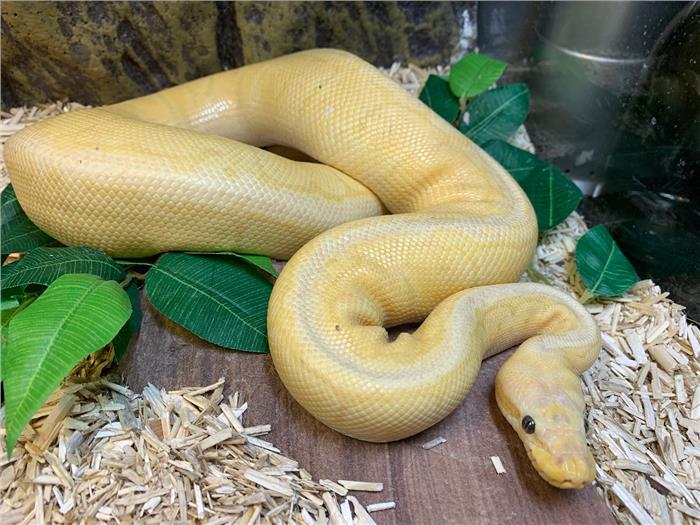 izip python 3 izip python 3